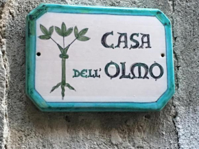 Гостиница Casa dell'Olmo  Орвието